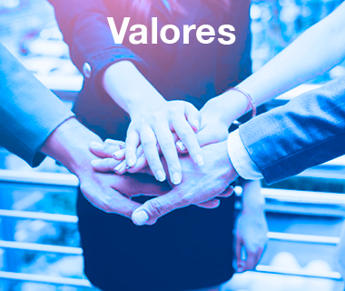 Valores